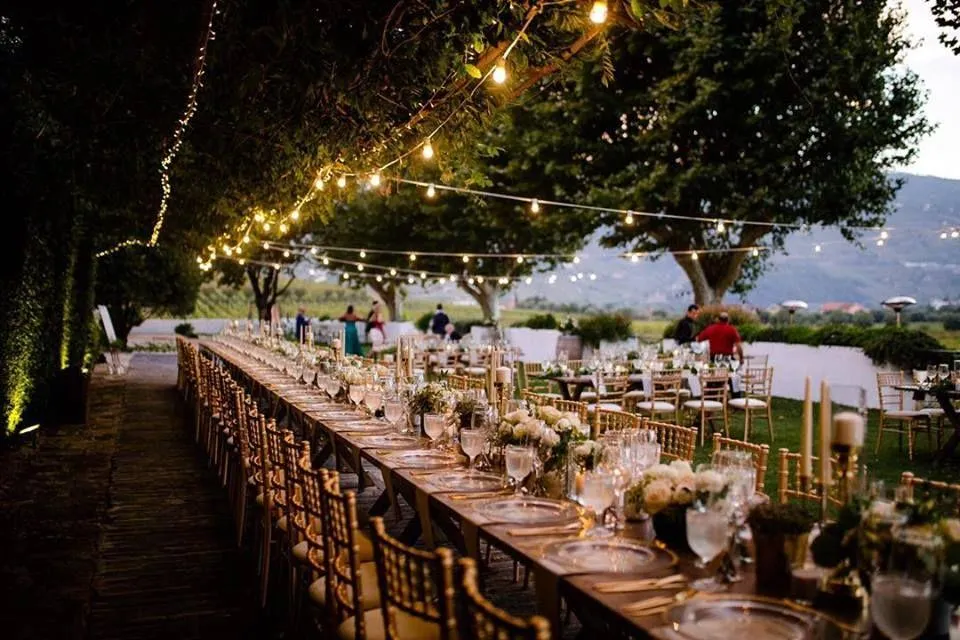 Vineyard reception with a long table under a canopy of café lights at dusk